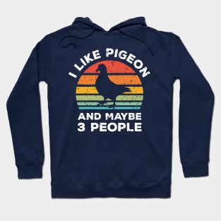 I Like Pigeon and Maybe 3 People, Retro Vintage Sunset with Style Old Grainy Grunge Texture Hoodie